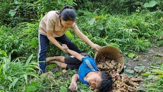 Orphan boy and Mute girl, Harvest the ginger garden the market to sell & Cooking l Life orphan