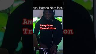 The smoothest transition ever!!! #music #afrobeats #amapiano #dj #djmix #djing