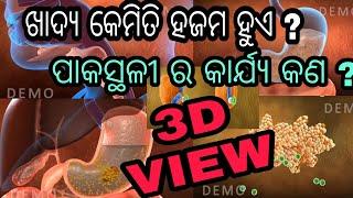 Digestive system animation 3D in odia/ମଣିଷ ଶରୀରରେ ଖାଦ୍ୟ ର ହଜମ/digestive system of human body in odia