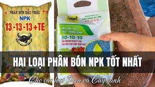 Hai loại phân bón NPK tốt nhất cho các loại hoa và cây cảnh