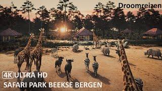 Safari Park Beekse Bergen 2023 - [4K] Ultra HD