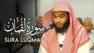 ‏سورة لقمان -Sura Luqman by Hafez Kamrul Alom || Beautiful Holy Quran Recitation ￼