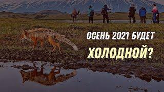 Какая будет Осень в 2021 году в России? Прогноз погоды на Сентябрь, Октябрь и Ноябрь по регионам!