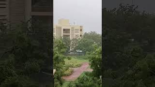 Effects of Biparjoy Cyclone. High speed winds, gusts with rain! #biparjoycyclone #biparjoy #gujarat