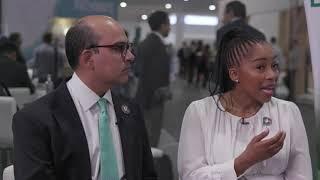 BCG at COP27 | Africa’s Private Sector Leading the Way to a Green Future