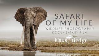 Safari of my Life - Wildlife Photography Documentary with Klaus Tiedge