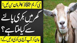 Gar Main Bakri Palna Kaisa Hai | How is a goat raised in the house? | Farman e Nabvi saw