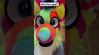 Gay furries? #furries