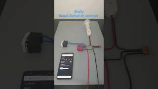 Shelly Plus 1 PM Smart Home #smarthome #shelly #alexa