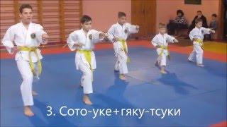 Кихон на оранжевый пояс (7 кю). Экзамен. kihon 7 kyu.