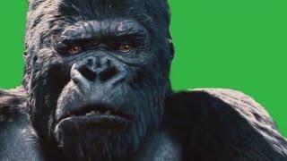 GREEN SCREEN GORILLA GETS MAD HD-animated