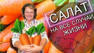 САЛАТ ИЗ МОРКОВИ СО СВИНИНОЙ - ОЧЕНЬ ВКУСНЫЙ РЕЦЕПТ САЛАТА