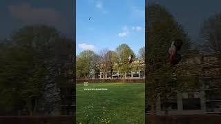 Double back flip landed! by Arrma Granite 