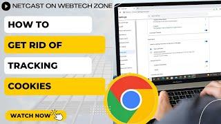 How to Get Rid of Tracking Cookies | How to Delete Tracking Cookies Google Chrome?