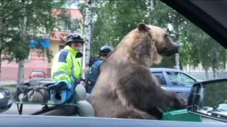 Такое возможно только в России. Эту страну не победить!