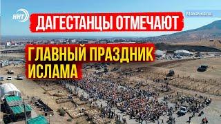 Курбан-Байрам-2020. Дагестанцы отмечают главный праздник Ислама