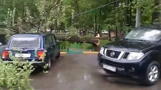 машинки прижало деревом во дворе 29.05.17