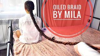 Oiled braid by Mila (PREVIEW)