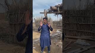 da bangro bar | pashto funny video | pk boy drama 2024 kaliwal vines shabqadar kpk vines