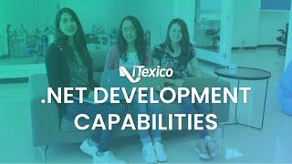 .NET Development - iTexico Software Development Company