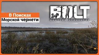 В Поисках Морской Чернети - BULT