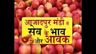 #azaadpur mandi #apple आजादपुर मंडी में सेब के भाव और आवक Market Times TV | Commodity Market Updates