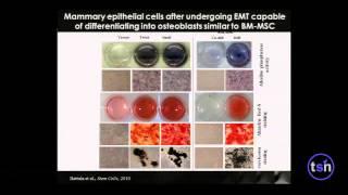 Drug Discovery & Endogenous Stem Cells - Sendurai Mani, UT MD Anderson Center
