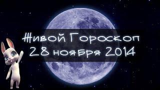 Зайка Zoobe - гороскоп для СКОРПИОНОВ  на 28 ноября