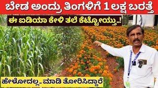 Modern Integrated Farming in Karnataka l Dairy sheep honey farming Krushi l Agriculture Kannada