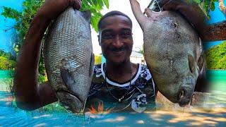 FROM THE SEA TO THE RIVER GREAT CATCH SEA FISH N FRESH WATER FISH-CCC