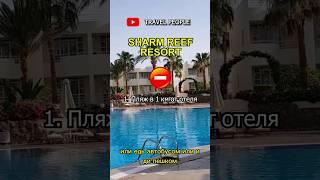 Sharm Reef Resort 4* - плюсы и минусы отеля #shorts