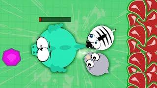 THE BEST TROLLING IN MOPE.IO | MOPE.IO FUNNY MOMENTS | ZEBRA TROLLING | FUNNY MONTAGE
