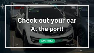 Autowini Update: Video at the Port