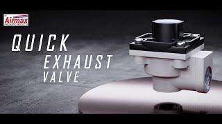 How Pneumatic Quick Exhaust Valve Works With Animation