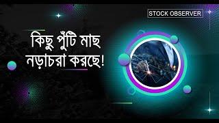 কিছু পুঁটিমাছ নড়াচড়া করছে I DHAKA STOCK EXCHANGE I