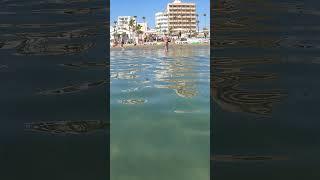 Finikoudes beach, Cyprus, Larnaca #Cyprus #Larnaca #Beach #short #shortvideo