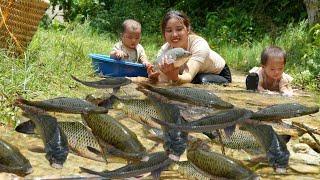 Meet a giant school of fish with your child - catch fish and trap fish on a rainy day