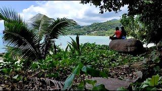 Сейшелы, пляжи Анс Рояль(Anse Royale) и Анс А  Ла Муш(Anse A la Mouche) Живность на кухне