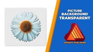 How to make picture background transparent in affinity publisher