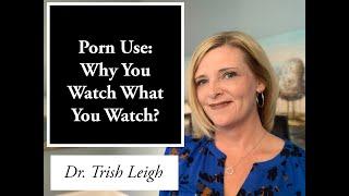 Porn Use: Why You Watch What You Watch in Pornography.
