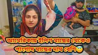 আমেরিকায় ইলিশ মাছের থেকেও পাংগাস মাছের দাম বেশি এটা কি করে সম্ভব