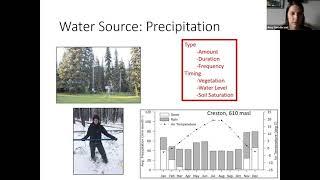 Wetland Hydrology and Climate Vulnerability - Wetlands Institute Speaker Series 2021