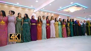 Adar & Salih - Kurdische Hochzeit 2024  Part 01 - Music: Koma Roj #EvinVideo