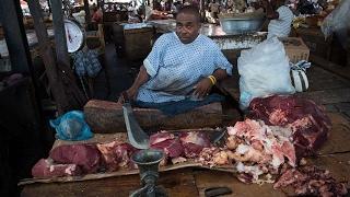 The most terrible market in the world. They sell this meat to restaurants.
