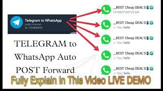 telegram channel to WhatsApp multiple groups in auto forward post, text, image autoforwarding system