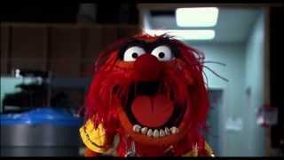 Muppets Most Wanted - Teaser | Official Disney HD