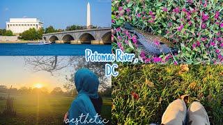 Photomac River , DC Tour !!‍️ and will catch fish . 2024 /Mim in USA #potomacriver |tour vlog 2