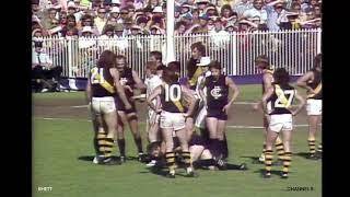 Ch 9 colour footage of Neil Balme/Southby/Waite incidents in 1973 Grand Final.