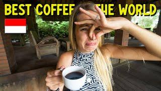 BEST COFFEE IN THE WORLD! / Luwak Coffee & Tegalalang Rice Terrace