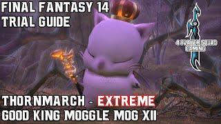 Final Fantasy 14 - A Realm Reborn - Thornmarch (Extreme) - Trial Guide